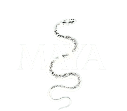 Maya